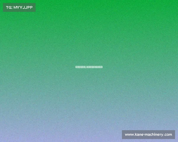 白礼顿近期赛事,英超白礼顿球队大陆叫法